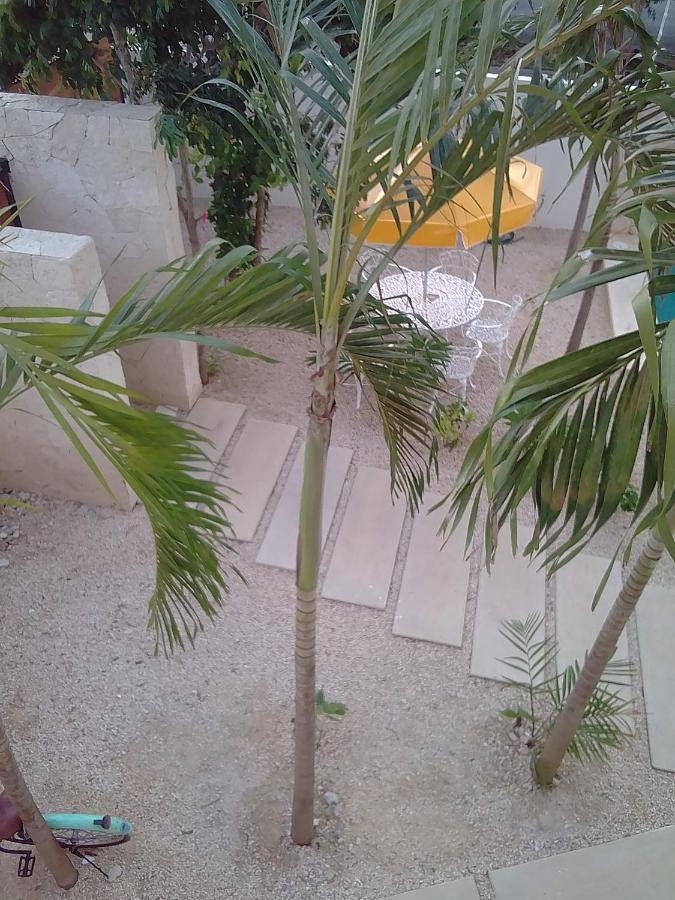 Posada Tumben Ka'A Tulum Exterior photo